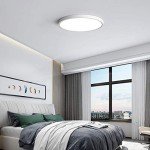 TALOYA LED Ceiling Light Living Room White, 15.8 Inch Thin Flat Modern Flush Mount Lighting Fixture for Bedroom,5 Color Temperatures in 1, 24w Round 0.94 Inch Thickness