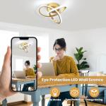 CANEOE Modern Led Ceiling Light Fixture,6000K Gold Led Hallway Light Fixtures Ceiling Lamp for Hallway Bedroom Bathroom Kitchen Balcony Stair Aisle Ceiling Lamp Curved Design (Gold, 6000K)