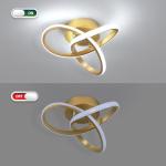 CANEOE Modern Led Ceiling Light Fixture,6000K Gold Led Hallway Light Fixtures Ceiling Lamp for Hallway Bedroom Bathroom Kitchen Balcony Stair Aisle Ceiling Lamp Curved Design (Gold, 6000K)