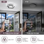 CANEOE Small Ceiling Light Modern LED Acrylic Square Ceiling Lamp Cool White 6000K Lighting Fixtures for Bedroom Kitchen Living Room Study Hallway Small Asile Lamp Corridor Lights (Black)