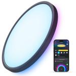 Govee Smart Ceiling Light, RGBIC LED Ceiling Light Fixture, 2400LM Flush Mount Light Fixture, DIY Colors, Works with Alexa, 2200K-6500K for Bedroom, Living Room, 12 Inch, 1 Pack, Black