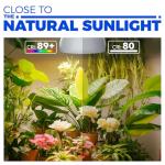 Barrina Hanging Grow Lights for Indoor Plants, 25W Full Spectrum, with Timer and 16.4FT Power Cord, Pendant Plant Lights for Indoor Growing, Large Tall Plant, Garden, Flowers, Greenhouse