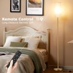 Ambimall 64'' Floor Lamps for Living Room with Remote Control and Stepless Dimmable Colors Temperature & Brightness, 9W Bulb Included(Beige Lampshade & Gold Pole)