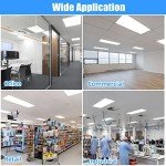 SEURON 2x4 LED Flat Panel Light, 4 Pack 7800LM LED Drop Ceiling Light Fixture, 5000K Flat Panel LED Ceiling Light 0-10V Dimmable 2x4 Recessed Edge-Lit Troffer Fixture for Office Kitchen, ETL Listed