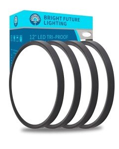 4pack 12 Inch Flush Mount Ceiling Light, 24w Led Ceiling Light, 3000k/4000k/6000k Selectable 2520lm Ceiling Lights, Super Slim Led Light Fixture for Bedroom Kitchen Living Dining Room Office (Black)
