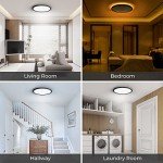 12-Inch Dimmable LED Flush Mount Ceiling Light