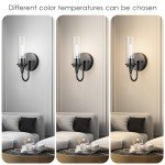 Aipsun Black Wall Sconces Set of Two, Sconces Wall Lighting Hardwired Wall Sconce Indoor Wall Light for Living Room Hallway (Exclude Bulb)