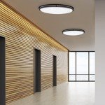 Maxxima 32" Oval Black LED Ceiling Mount Light Fixture, 5500 Lumens, 3 CCT Color Selectable 3000K/4000K/5000K, Dimmable Flush Mount Indoor Light, Perfect for Kitchen or Bedroom Lighting