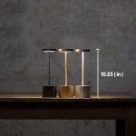 SAKRINGT 2 Pack Rechargeable Table Lamp, LED Cordless Table Lamp,5000mAh Battery Operated Portable Table Light,Dimming for Restaurant/Patio/Outdoor(Black)