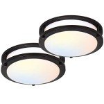 Hykolity 13" Adjustable LED Ceiling Light - 2 Pack