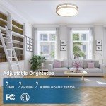 OOWOLF 2-Pack Dimmable 36W LED Ceiling Lights