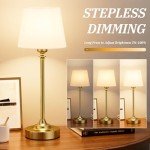 Cordless Table Lamp Rechargeable Gold - 1 Pack Brass 4000mAH Battery Operated Lamp for Decor, 3000K Stepless Dimming Touch Control Wireless Lamp for Bedroom, Dining Table, Counter, Living Room