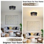 2-Light Flush Mount Ceiling Light Fixtures, 2-Pack Farmhouse Black Ceiling Lights, Industrial Metal Cage Light Fixtures Ceiling Mounted with Adjustable Head, Ceiling Lights for Bedroom Hallway Kitchen