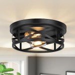 2-Light Flush Mount Ceiling Light Fixtures, 2-Pack Farmhouse Black Ceiling Lights, Industrial Metal Cage Light Fixtures Ceiling Mounted with Adjustable Head, Ceiling Lights for Bedroom Hallway Kitchen