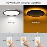 12-Inch Dimmable LED Flush Mount Ceiling Light