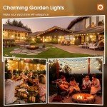 addlon 200FT(4-Pack*50FT) LED Outdoor String Lights with Edison Shatterproof Bulbs, Heavy-Duty and Weatherproof Strand, Commercial Grade Patio Lights, Decorative for Garden or Patio, Black
