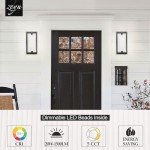 zeyu LED Indoor Wall Sconce, 20W Modern Dimmable Wall Mount Light for Hallway, 5CCT Adjustable 3000K/3500K/4000K/5000K/6500K, Black Finish with Clear Glass Shade, ZTH100B-LED BK