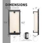 zeyu LED Indoor Wall Sconce, 20W Modern Dimmable Wall Mount Light for Hallway, 5CCT Adjustable 3000K/3500K/4000K/5000K/6500K, Black Finish with Clear Glass Shade, ZTH100B-LED BK