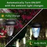 GIGALUMI 12 Pack Solar Lights Outdoor Waterproof, Cool White Pathway Lights Solar Powered, Landscape Lighting, Solar Garden Lights for Decor, Patio, Garden, Yard, Pathways, Walkways