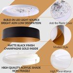 Matte Black LED Flush Mount Ceiling Light 12.5