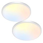 2Pack LED Flush Mount Ceiling Light Fixture, 12Inch 24W, Dimmable&3000K/3500K/4000K/5000K/6500K Adjustable Low Profile Ceiling Lights, 3200LM Modern Lamp for Kitchen, Bedroom, Porch, Hallway, White