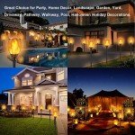 Permande Solar Torch Lights with Flickering Flame, Fire Effect Garden Light, Auto On/Off Dust to Dawn, Outdoor Waterproof Landscape Decoration, Powered Security Light for Patio, 8 Pack