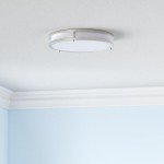 36W LED Ceiling Lights for Bedroom Kitchen, 3600lm Super Bright, Dimmable Flush Mount Light Fixtures 6500K/5000K/4000K/3000K/2700K Adjusted Modern Lamps 2PACK, 13 Inch, Nickle