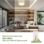 Lightania 12 Inch Flush Mount Ceiling Light, Modern Brushed Nickel LED Ceiling Light Fixture, 20W 1400LM 2700-6500K Adjustable, Dimmable Ceiling Lights for Bedroom, Kitchen, Hallway, Bathroom, ETL