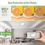 Lightania 12 Inch Flush Mount Ceiling Light, Modern Brushed Nickel LED Ceiling Light Fixture, 20W 1400LM 2700-6500K Adjustable, Dimmable Ceiling Lights for Bedroom, Kitchen, Hallway, Bathroom, ETL