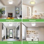 Lightania 12 Inch Flush Mount Ceiling Light, Modern Brushed Nickel LED Ceiling Light Fixture, 20W 1400LM 2700-6500K Adjustable, Dimmable Ceiling Lights for Bedroom, Kitchen, Hallway, Bathroom, ETL