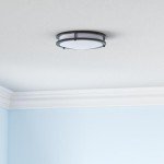 hykolity 10 inch Flush Mount LED Ceiling Light Fixture, 17W 1100lm, 2700K/3000K/3500K/4000K/5000K Adjustable Ceiling Lights, Oil Rubbed Bronze Saturn Dimmable Lighting for Hallway Bathroom - 2 Pack