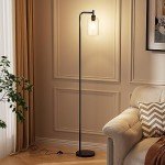 Ziisee Industrial Floor Lamp with Glass Shade - Black, LED Bulbs, Foot Pedal Switch, Easy Assembly