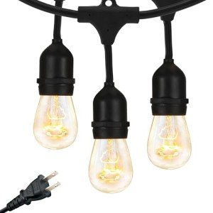 Brightech Ambience Pro Incandescent Outdoor String Lights - Commercial Grade Waterproof Patio Lights with 48 Ft Dimmable Edison Bulbs, Porch String Lights for Patio, Backyard - 15 Bulbs 11W