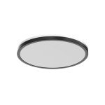 12-Inch Dimmable LED Flush Mount Ceiling Light