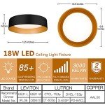 Matte Black LED Flush Mount Ceiling Light 12.5