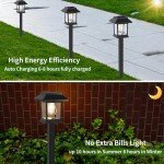 Solar Lights Outdoor,12 Pack Waterproof Auto On/Off Solar Pathway Lights for Your Garden, Landscape, Path, Yard, Patio, Driveway,Walkway Decor