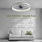 LUDOMIDE Ceiling Fans with Lights, Flush Mount Ceiling Fan with Lights and Remote, 6 Wind Speeds Smart Low Profile Ceiling Fan for Bedroom, Dining Room and Kitchen 20" (White)