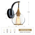 Ymlii Indoor Wall Sconce, Black and Gold Wall Light Fixture with 4.9 Inches Clear Glass Shade, Bathroom Vanity Lights, Wall Lamp for Living Room, Bedroom, Hallway