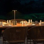 SAKRINGT 2 Pack Cordless Table Lamp Rechargeable,5000mAh Battery Powered Table Light, Dimming Portable LED Desk Lamp for Patio/Restaurant/Outdoor