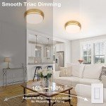 Xbuyee 2Pack LED Flush Mount Ceiling Light Fixture 13" 20W, 3000/4000/5000K Color Selectable, Dimmable Ceiling Lamp for Kitchen, Hallway, Stairwell, Gold, ETL