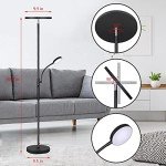 Dimunt Floor Lamp LED Floor Lamps for Living Room Bright Lighting, 27W/2000LM Main Light and 7W/350LM Side Reading Lamp, Adjustable 3 Colors Tall Lamp with Remote & Touch Control