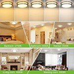 hykolity 10 inch Flush Mount LED Ceiling Light Fixture, 17W 1100lm, 2700K/3000K/3500K/4000K/5000K Adjustable Ceiling Lights, Brushed Nickel Saturn Dimmable Lighting for Hallway Bathroom - 2 Pack