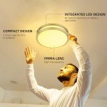 hykolity 10 inch Flush Mount LED Ceiling Light Fixture, 17W 1100lm, 2700K/3000K/3500K/4000K/5000K Adjustable Ceiling Lights, Brushed Nickel Saturn Dimmable Lighting for Hallway Bathroom - 2 Pack