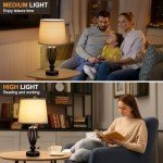USB Bedside Lamp, 3-Way Dimmable Touch Table Lamp with USB C+A Charging Ports Industrial Table Lamp Black Metal Base Farmhouse Reading Lamp for Bedroom, Living Room, Office or Study LED Bulb Included