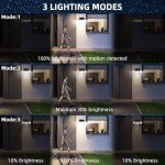 daphino 2500LM Solar Lights Outdoor with Motion Sensor,3 Head 270° Wide Angle Street Area Lights,IP65 Waterproof Security Lighting with 3 Modes(Non-Remote,2 Pcs)