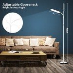 Led Floor Lamp with 4 Color Temperature and Stepless Dimmer, Remote and Touch Control Floor Lamp, Adjustable Gooseneck Standing Lamp for Living Room
