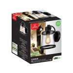 GLOBE Electric 44127 Charlie 1-Light Outdoor Indoor Wall Sconce, LED Bulb Included, Oil Rubbed Bronze, Clear Seeded Glass Shade, 500 Lumen