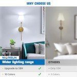 NIORSUN Battery Operated Wall Sconce Set of 2,Gold Rechargeable Wall Lights with 5200mAh Dimmable Bulbs and Remote,10 Colors Wireless Wall Lamps for Bedroom Living Room Hallway
