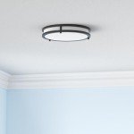 12 Inch Flush Mount Ceiling Lights, 36W 3200LM Black Dimmable Light Fixtures Ceiling Mount, 3000K-5000K Selectable Modern Kitchen Light Fixtures for Stairwell, Balcony, Corridor, Laundry (2-Pack)