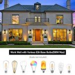 Outdoor Wall Light Fixtures, Exterior Waterproof Lanterns, Porch Sconces Wall Mounted Lighting with E26 Sockets & Glass Shades, Modern Matte Black Wall Lamps for Patio Front Door Entryway, 2-Pack